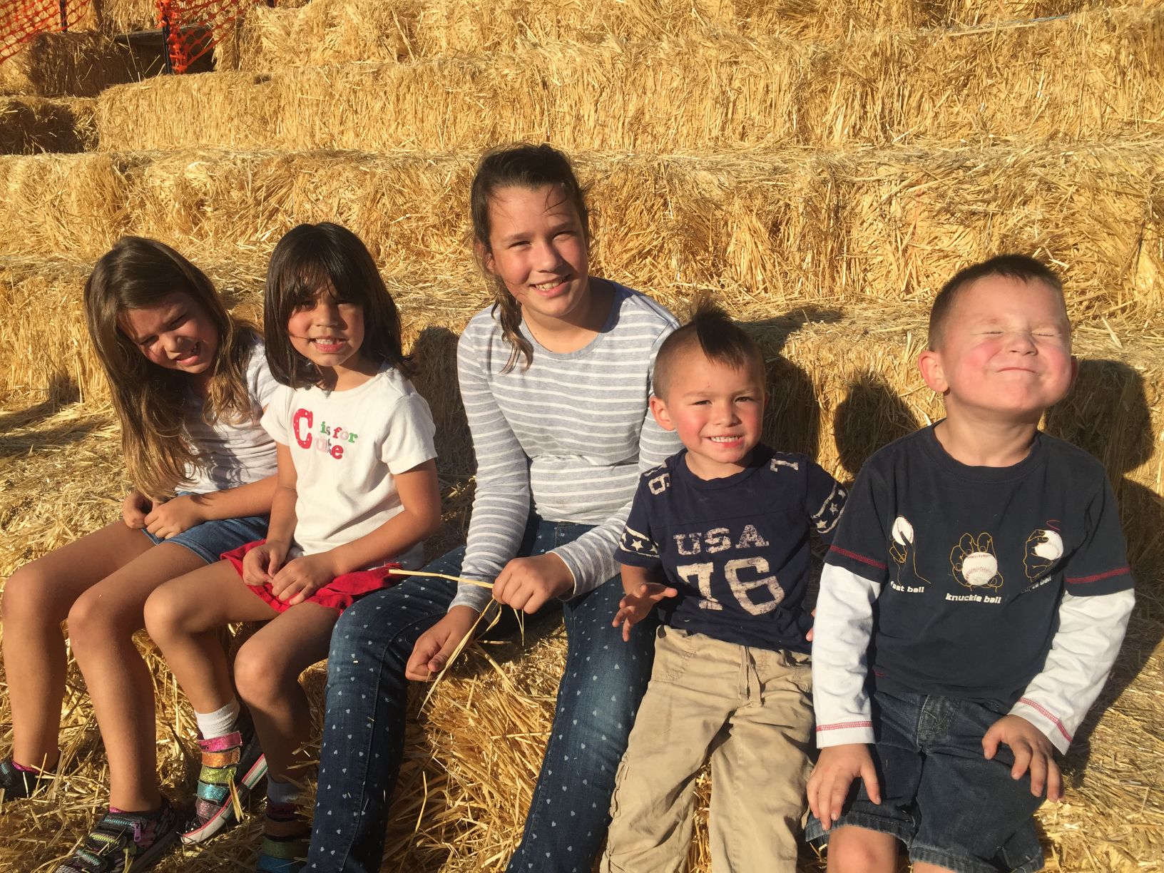 Picking Pumpkins 2015